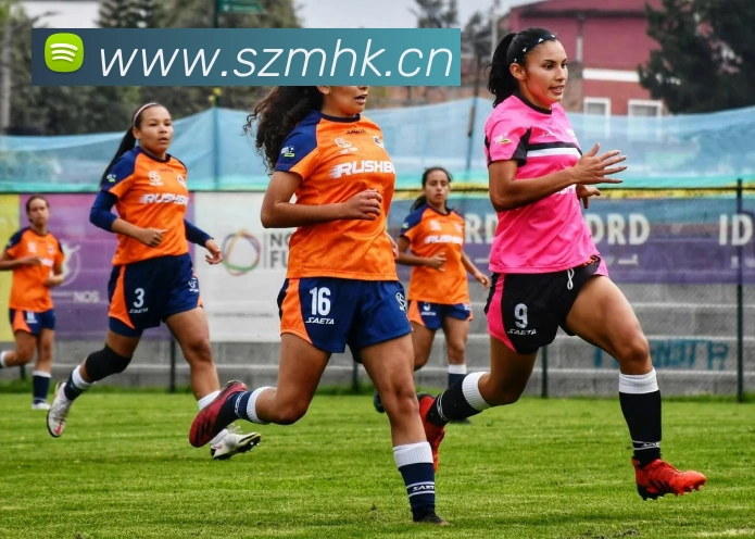 开云在线登录入口官网发展历程